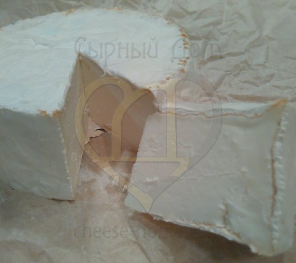 Непрозревший сыр с белой плесенью. Фото пользователя сайта Сырный Дом